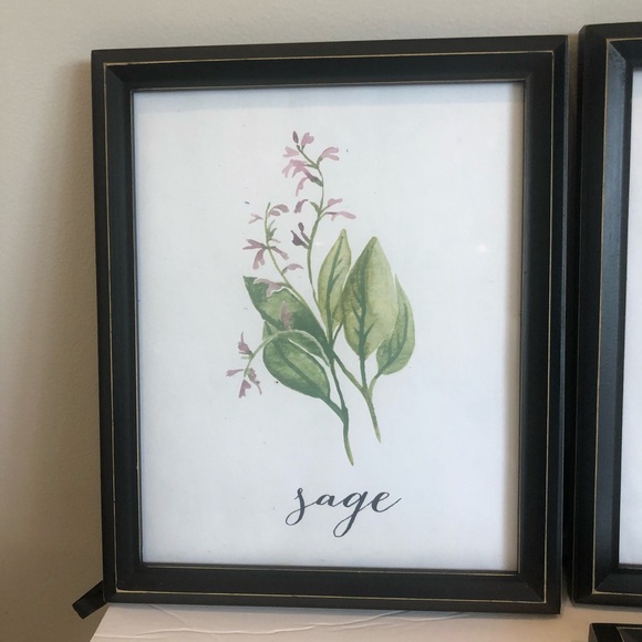 Set of 4 8x10 Herb Prints - Picture 2 of 7